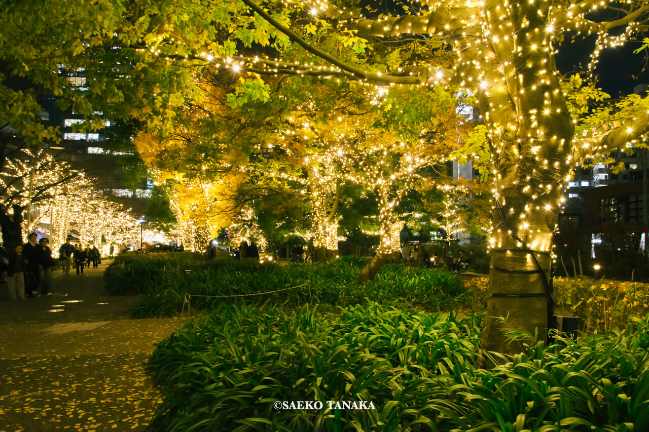 東京の人気おすすめクリスマス・イルミネーションスポット｜東京ミッドタウンのミッドタウン・ガーデンで開催されている「光の散歩道」（東京・六本木）