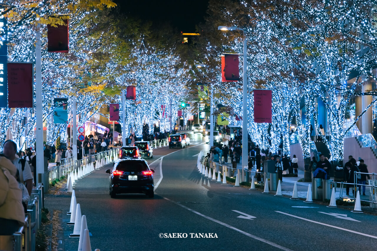 東京の人気おすすめイルミネーションスポット｜けやき坂イルミネーションが開催されている六本木けやき坂通り（東京・六本木）