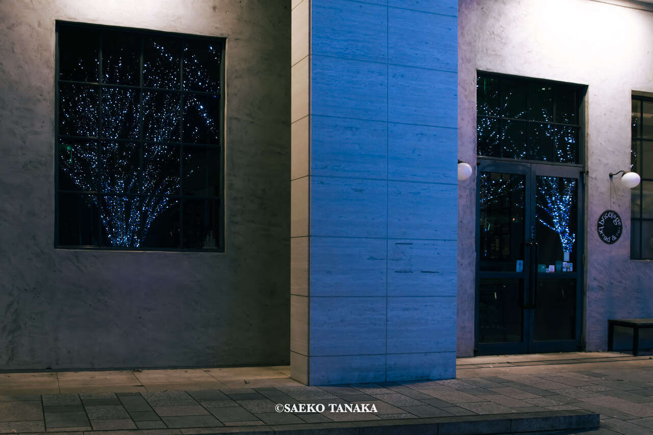 東京の人気おすすめイルミネーションスポット｜けやき坂イルミネーションが開催されている六本木けやき坂通りにある店舗（東京・六本木）