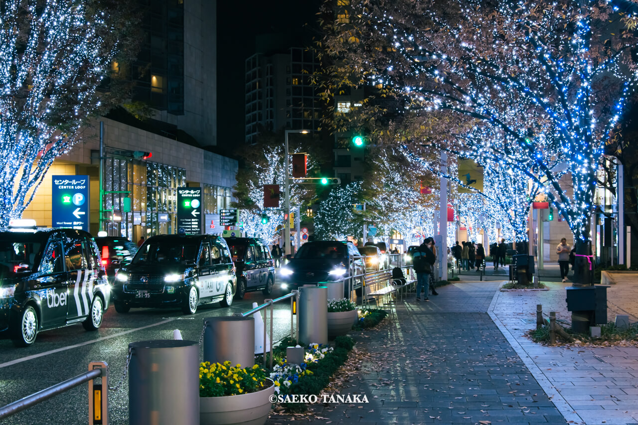 東京の人気おすすめイルミネーションスポット｜けやき坂イルミネーションが開催されている六本木けやき坂通り（東京・六本木）