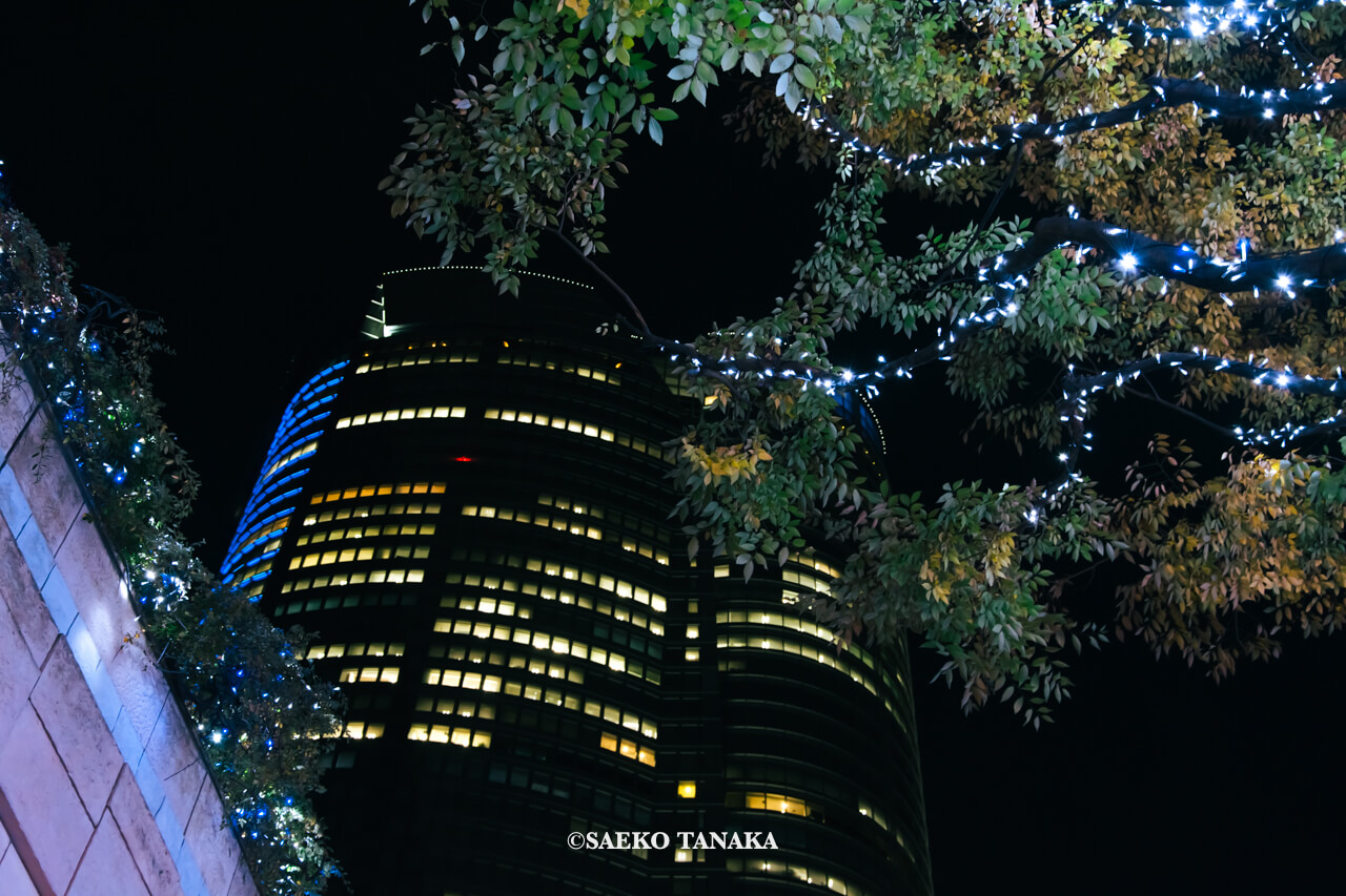 東京の人気おすすめイルミネーションスポット｜けやき坂イルミネーションが開催されている六本木けやき坂通りに隣接する六本木ヒルズ（東京・六本木）