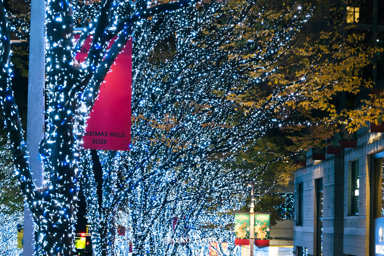 東京の人気おすすめイルミネーションスポット｜けやき坂イルミネーションが開催されている六本木けやき坂通り（東京・六本木）