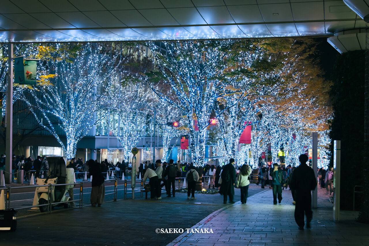東京の人気おすすめイルミネーションスポット｜けやき坂イルミネーションが開催されている六本木けやき坂通り（東京・六本木）