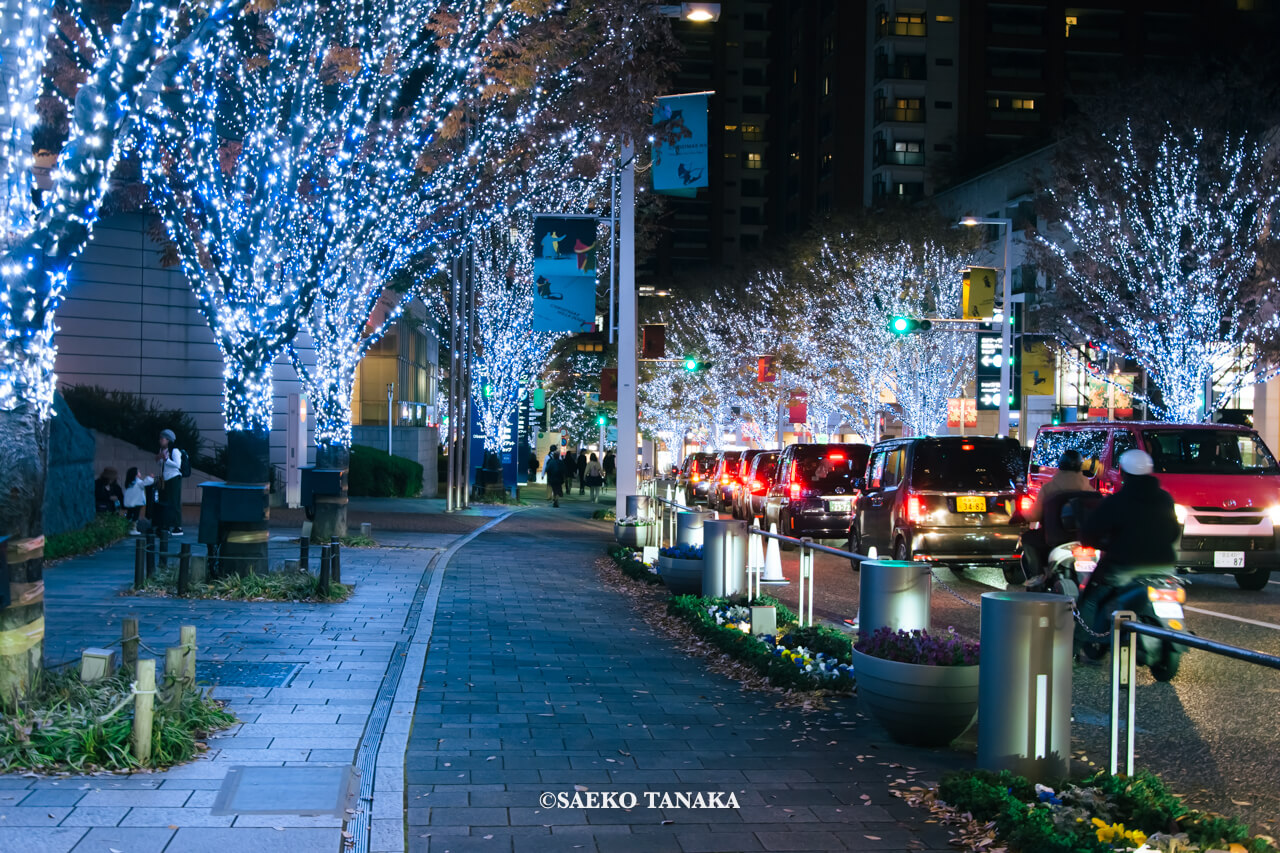 東京の人気おすすめイルミネーションスポット｜けやき坂イルミネーションが開催されている六本木けやき坂通り（東京・六本木）