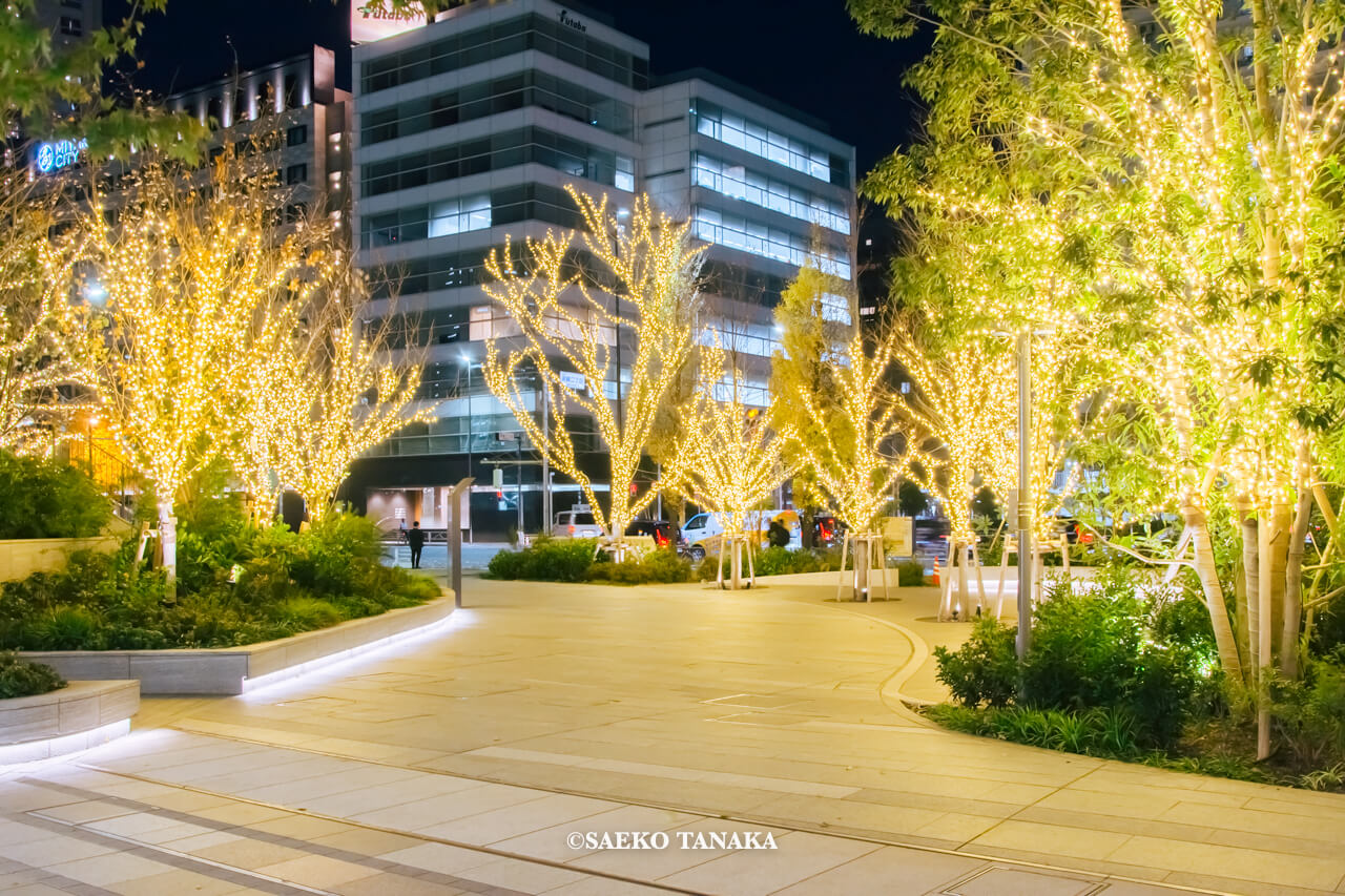 東京の人気おすすめクリスマス・イルミネーションスポット｜高輪ゲートウェイシティの 1F 高輪辻広場のイルミネーション「Warm Glow」（東京・高輪品川）