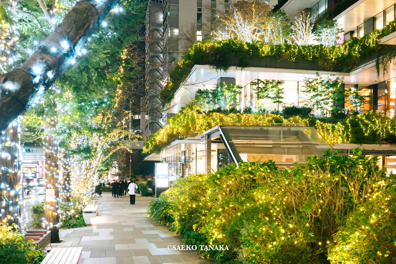 東京の人気おすすめクリスマス・イルミネーションスポット｜東京スクエアガーデンのウィンターイルミネーション（東京・京橋）