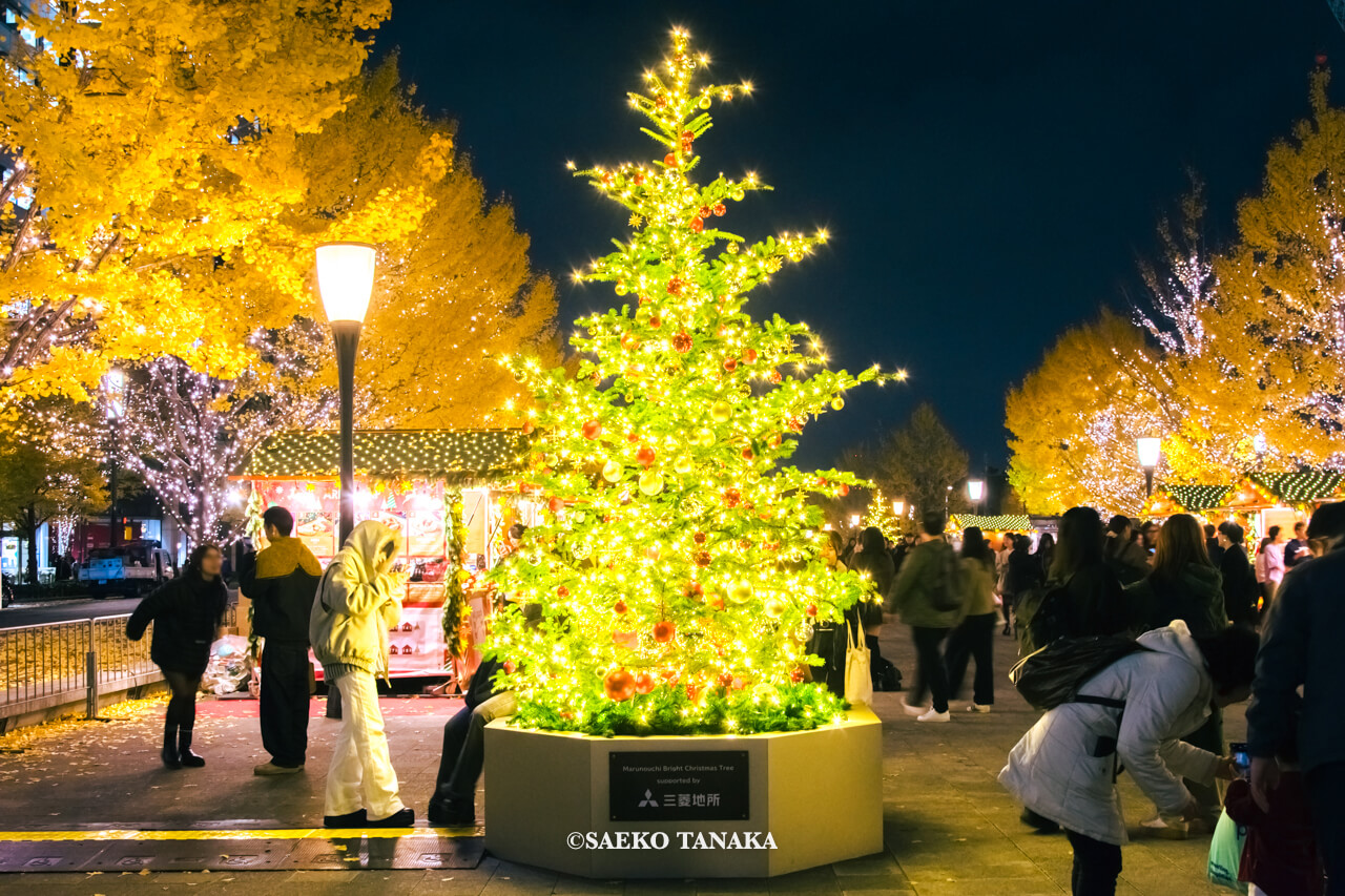東京の人気おすすめクリスマス・イルミネーションスポット｜行幸通りイルミネーション初登場のもみの木クリスマスツリー（東京・丸の内）