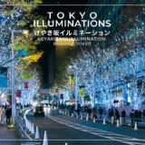 東京屈指の冬季限定写真映え大人気イベント｜けやき坂イルミネーション