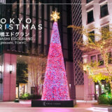 東京の人気おすすめクリスマス・イルミネーションスポット｜京橋・銀座エリア最大級の京橋エドグランクリスマスツリー（東京・京橋）