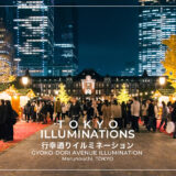 東京駅丸の内駅舎前で楽しむ華やぎクリスマス｜行幸通りイルミネーション