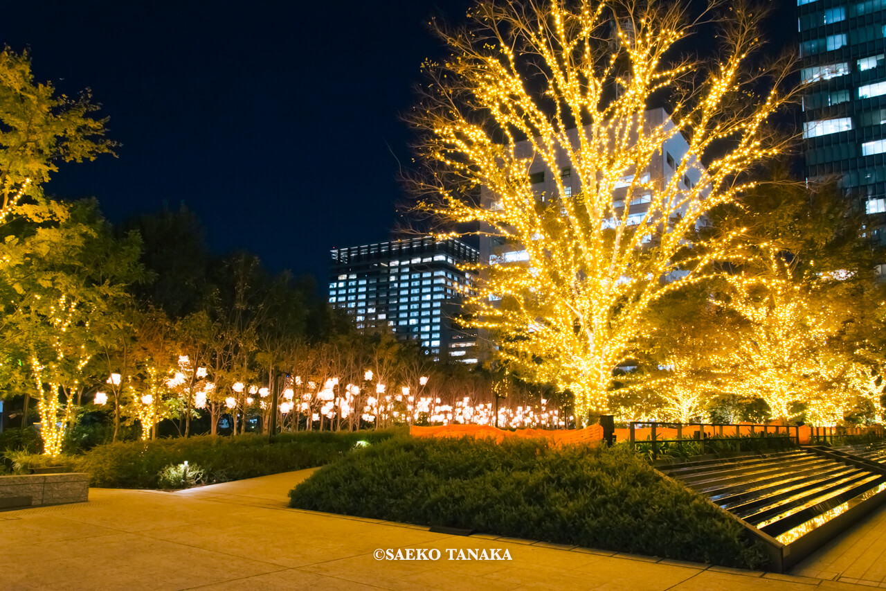 東京の人気おすすめクリスマス・イルミネーションスポット|Otemachi One Illumination / Otemachi One GardenのImperial Greenインペリアルグリーンを彩るシャンパンゴールドイルミネーションとSuccession Forestサクセッションフォレストのランタン(東京・大手町)