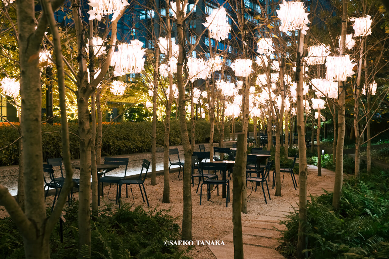 東京の人気おすすめクリスマス・イルミネーションスポット|Otemachi One Illumination / Otemachi One GardenのSuccession Forestサクセッションフォレストを彩るランタンとシャンパンゴールドイルミネーション(東京・大手町)