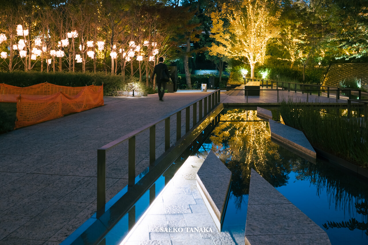 東京の人気おすすめクリスマス・イルミネーションスポット|Otemachi One Illumination / Otemachi One GardenのShade Gardenシェードガーデン / Water Gardenウォーターガーデンを彩るシャンパンゴールドイルミネーションとSuccession Forestサクセッションフォレストのランタン(東京・大手町)