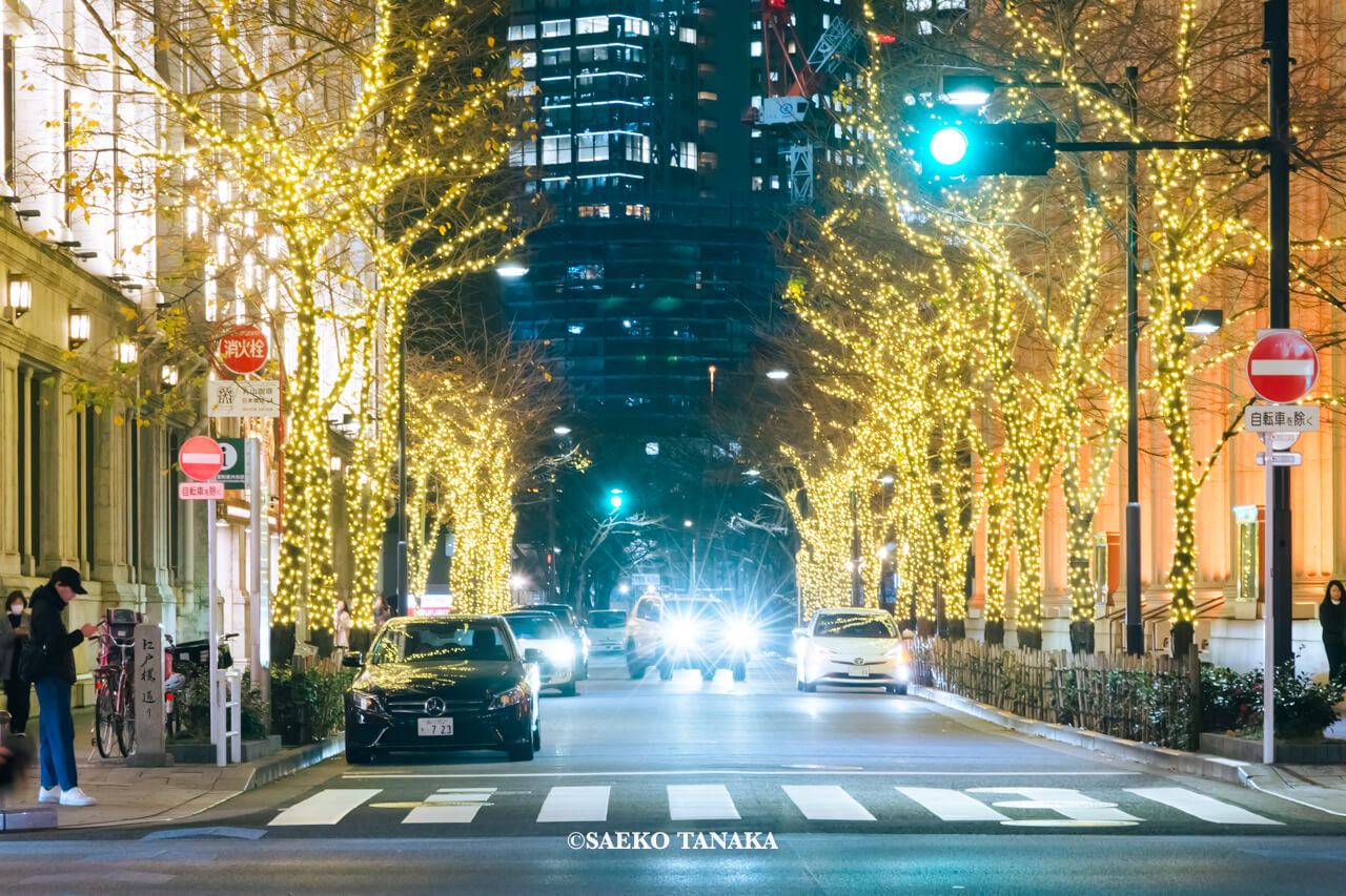 東京の人気おすすめクリスマス・イルミネーションスポット|日本橋イルミネーションの江戸桜通り(東京・日本橋)
