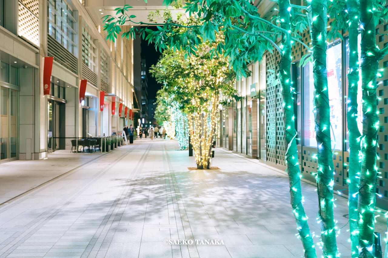 東京の人気おすすめクリスマス・イルミネーションスポット｜日本橋高島屋S.C.の日本橋ガレリアで開催している日本橋ガレリアイルミネーション（東京・日本橋）