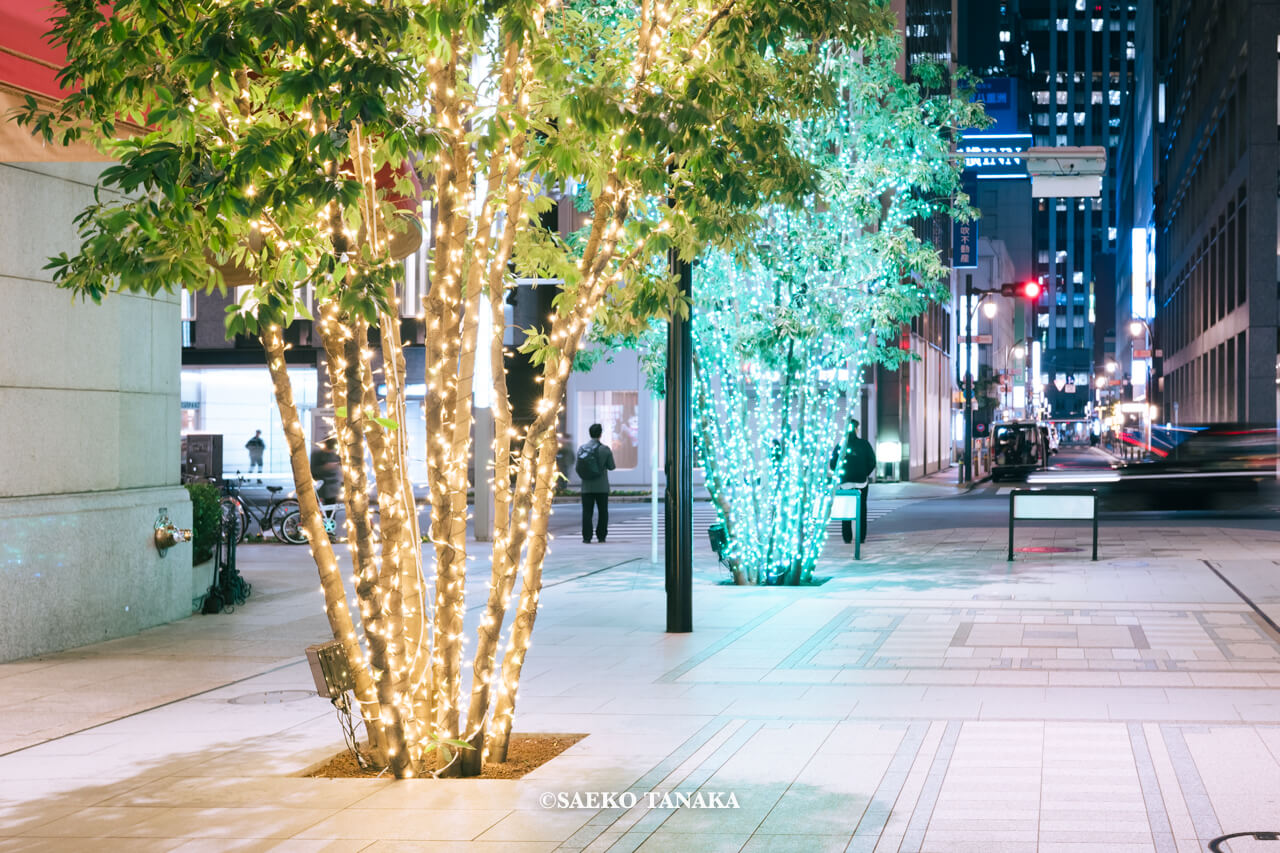 東京の人気おすすめクリスマス・イルミネーションスポット｜日本橋高島屋S.C.の日本橋ガレリアで開催している日本橋ガレリアイルミネーション（東京・日本橋）