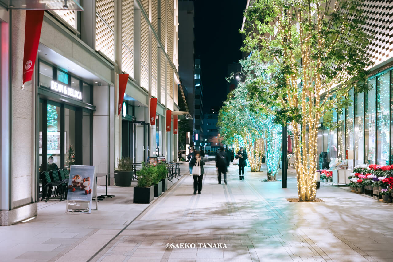 東京の人気おすすめクリスマス・イルミネーションスポット｜日本橋高島屋S.C.の日本橋ガレリアで開催している日本橋ガレリアイルミネーション（東京・日本橋）