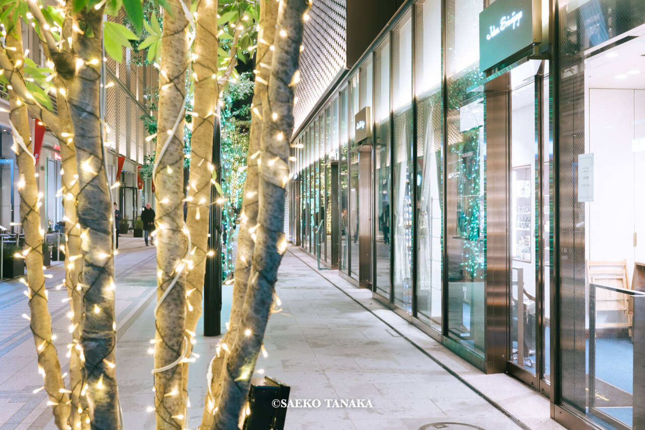 東京の人気おすすめクリスマス・イルミネーションスポット｜日本橋高島屋S.C.の日本橋ガレリアで開催している日本橋ガレリアイルミネーション（東京・日本橋）