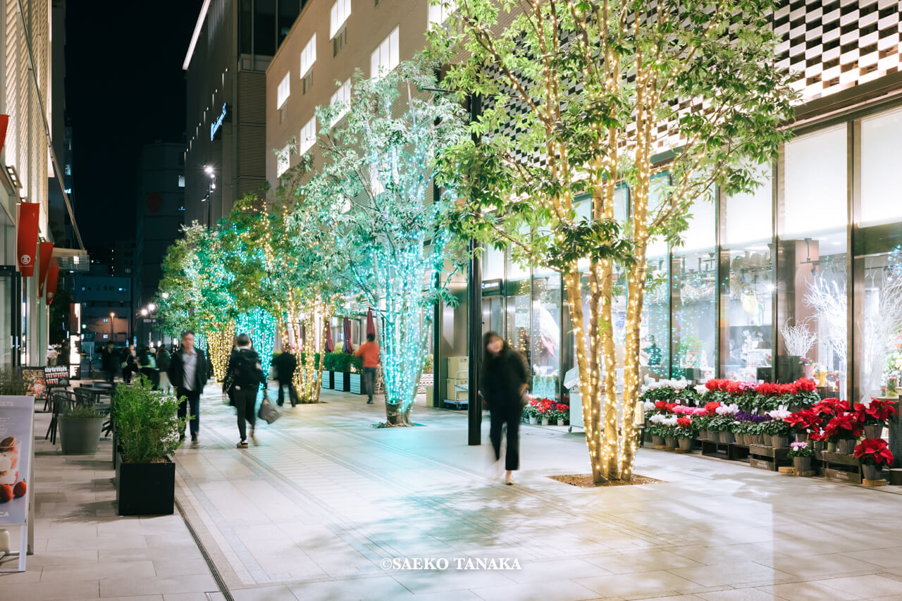 東京の人気おすすめクリスマス・イルミネーションスポット｜日本橋高島屋S.C.の日本橋ガレリアで開催している日本橋ガレリアイルミネーション（東京・日本橋）