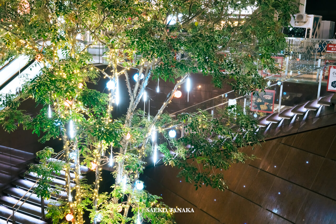 東京の人気おすすめクリスマス・イルミネーションスポット｜八重洲仲通りのTOKYO ILLUMILIA / 東京イルミリアの八重仲ダイニングイルミネーション（東京・八重洲）