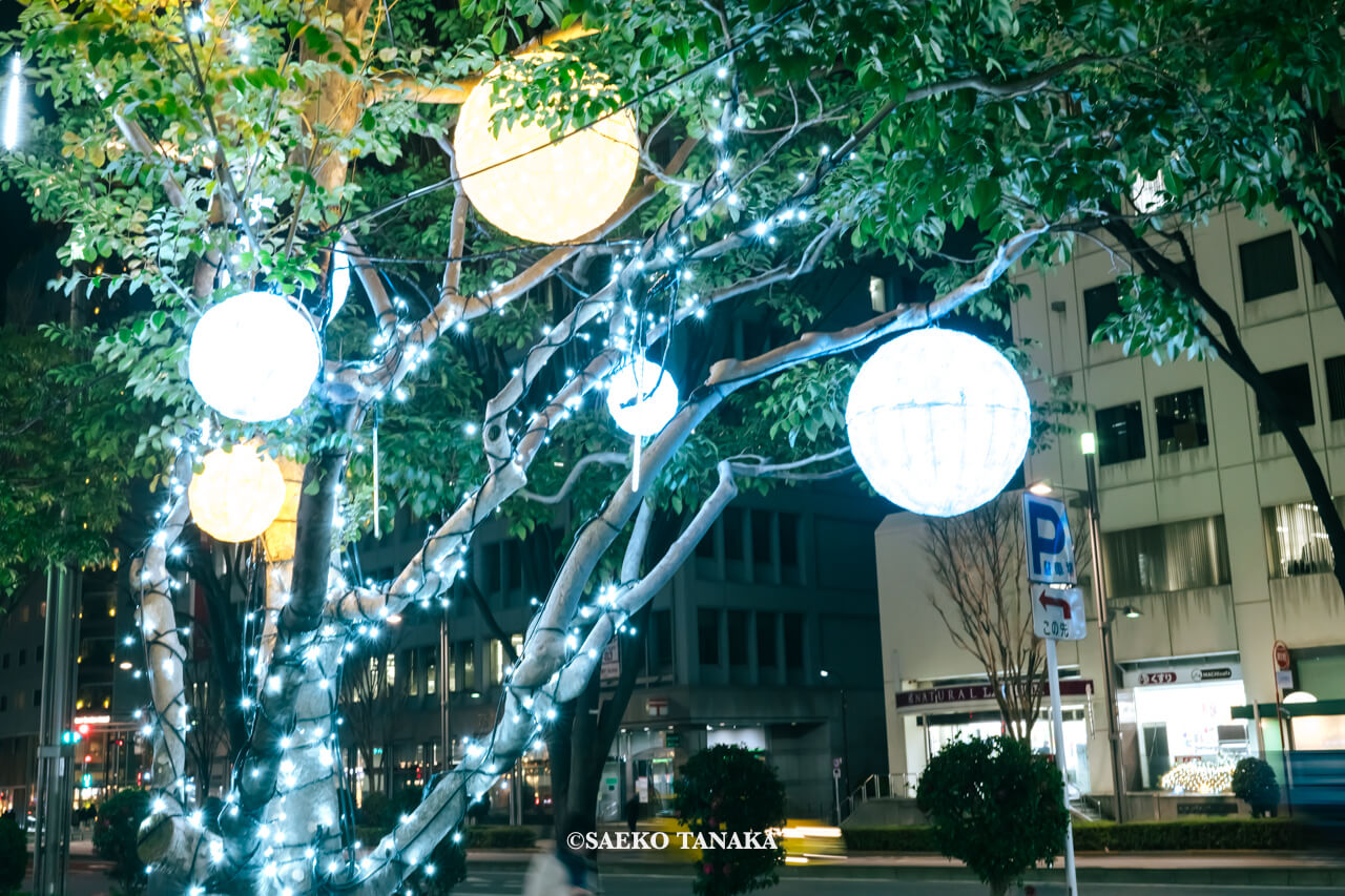 東京の人気おすすめクリスマス・イルミネーションスポット｜和と光のWinter Festaのイベント企画にて晴海通りに面した街路樹を「円」をモチーフにした球体イルミネーションで彩られた銀座松竹スクエア（東京・東銀座）