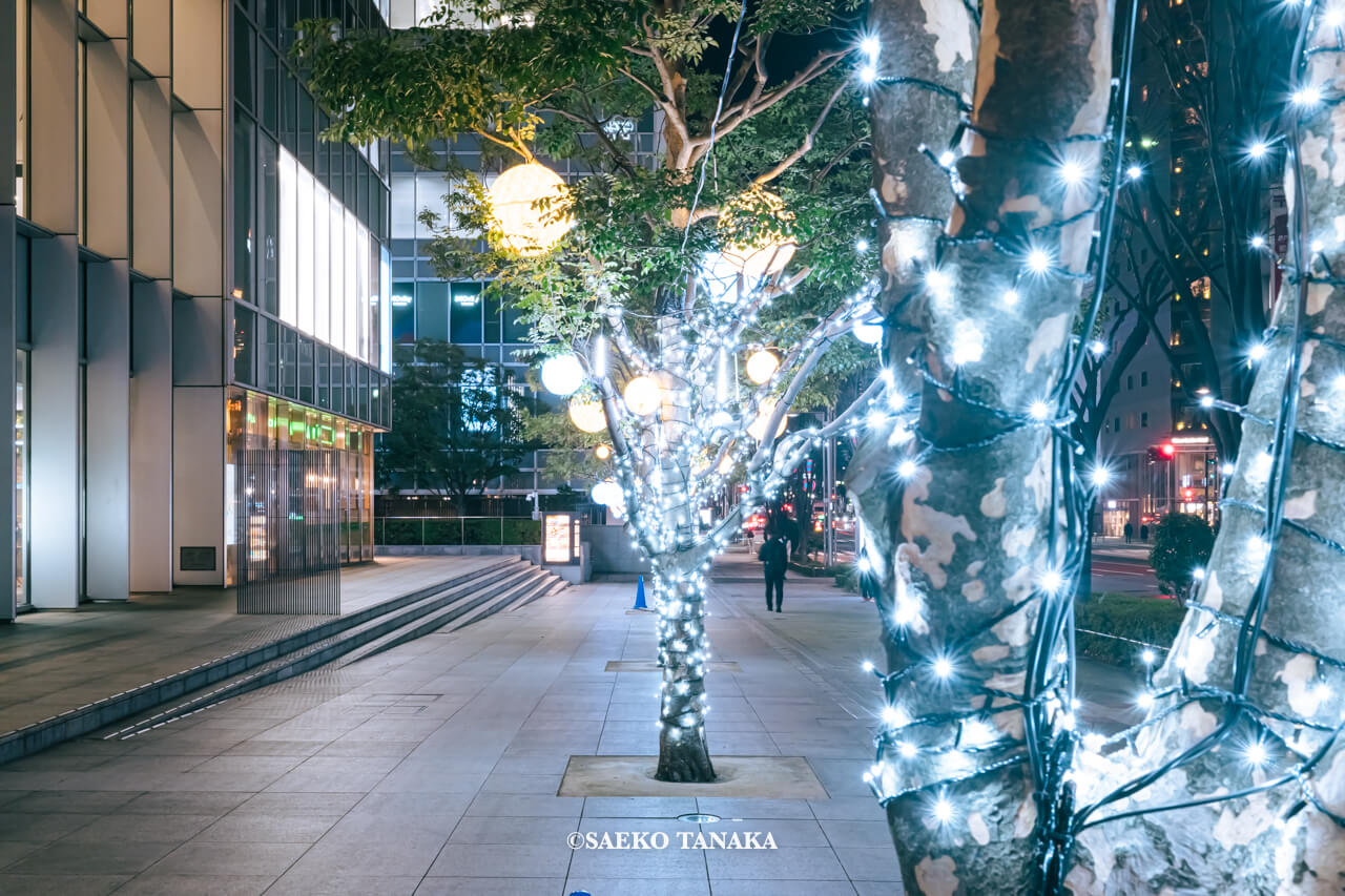 東京の人気おすすめクリスマス・イルミネーションスポット｜和と光のWinter Festaのイベント企画にて晴海通りに面した街路樹を「円」をモチーフにした球体イルミネーションで彩られた銀座松竹スクエア（東京・東銀座）