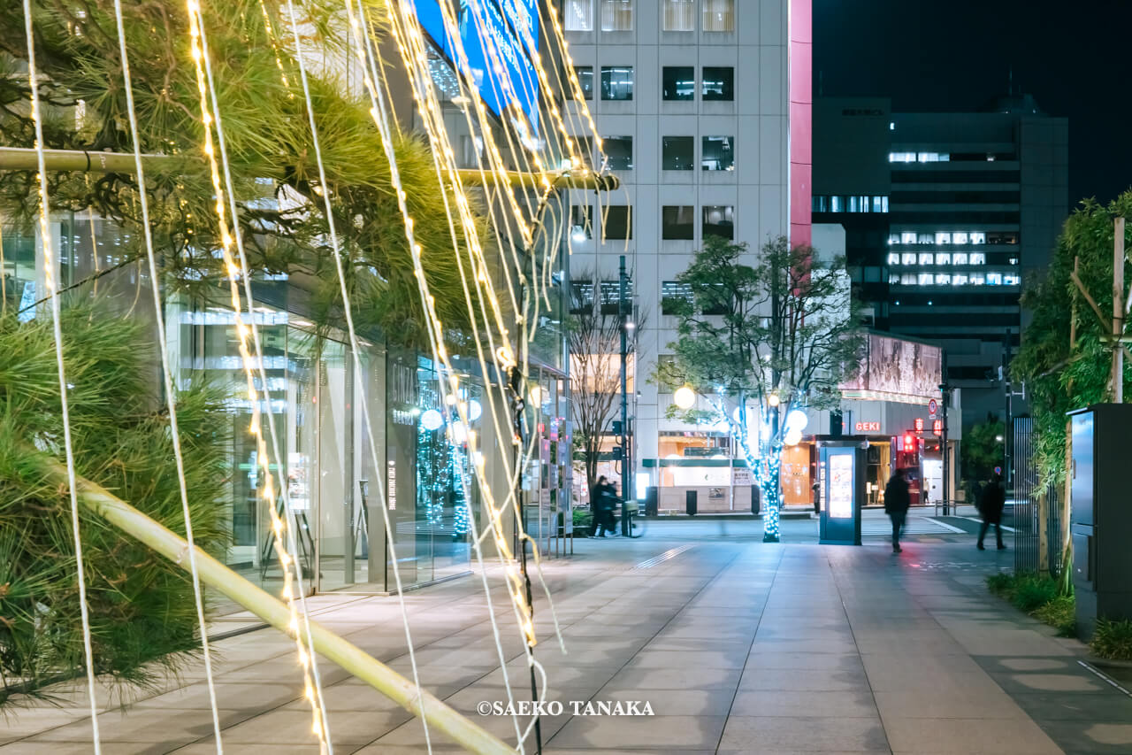 東京の人気おすすめクリスマス・イルミネーションスポット｜和と光のWinter Festaのイベント企画にて築地川銀座公園に面したガラス張りの壁面を雪吊りイルミネーション、晴海通り沿い街路樹を球体イルミネーションでそれぞれ彩られた銀座松竹スクエア（東京・東銀座）