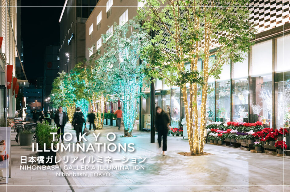 東京の人気おすすめクリスマス・イルミネーションスポット｜日本橋高島屋S.C.の日本橋ガレリアで開催している日本橋ガレリアイルミネーション（東京・日本橋）