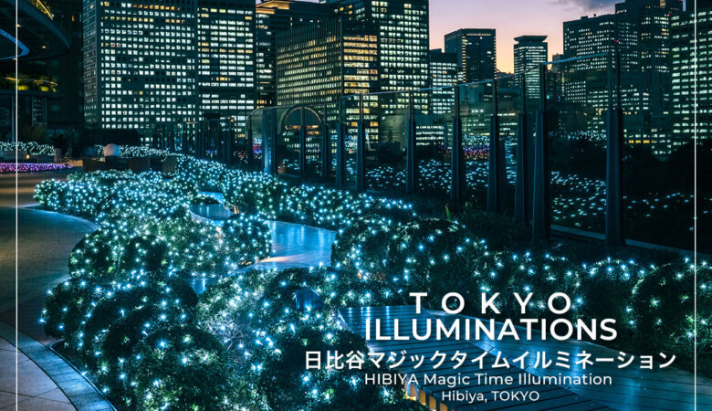 夢の世界に没入できる非日常イルミネーション｜東京ミッドタウン日比谷