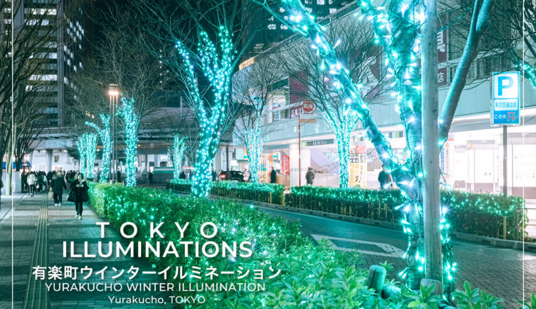 色鮮やかなグリーン一色の希少な世界｜有楽町ウインターイルミネーション