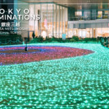 銀座空中庭園がLEDイルミネーションでインスタ映えスポットに｜銀座三越